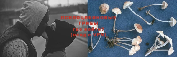 a pvp Семёнов